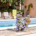 Holiday home Rokoko