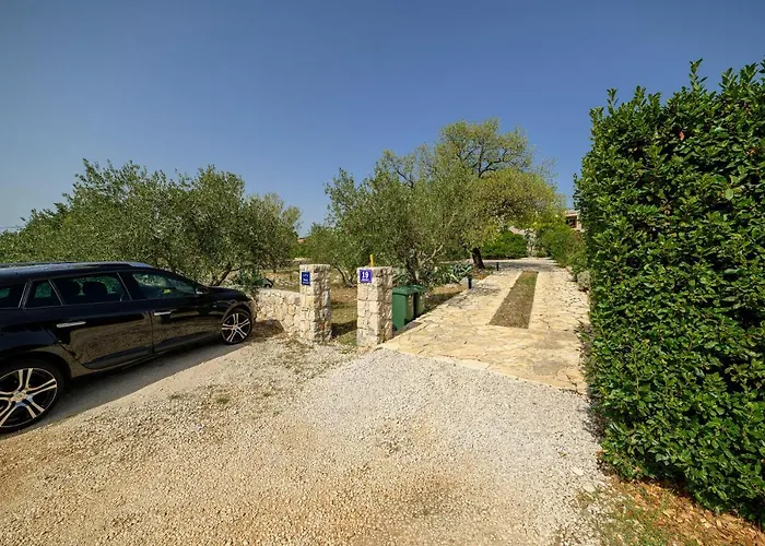 Rokoko * שיבניק